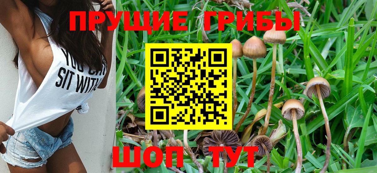 Галлюциногенные грибы Psilocybine cubensis  Вход с VPN  Лобня 