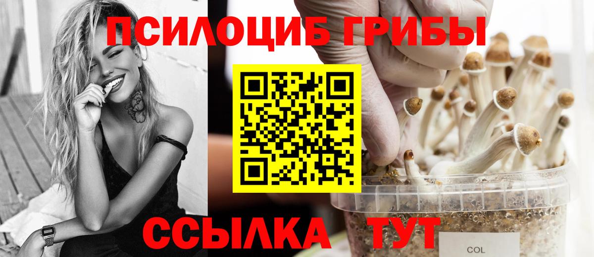 Галлюциногенные грибы Psilocybe Лобня