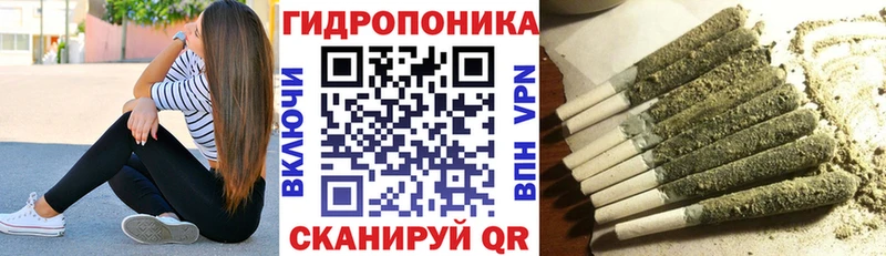 МАРИХУАНА сатива Лобня